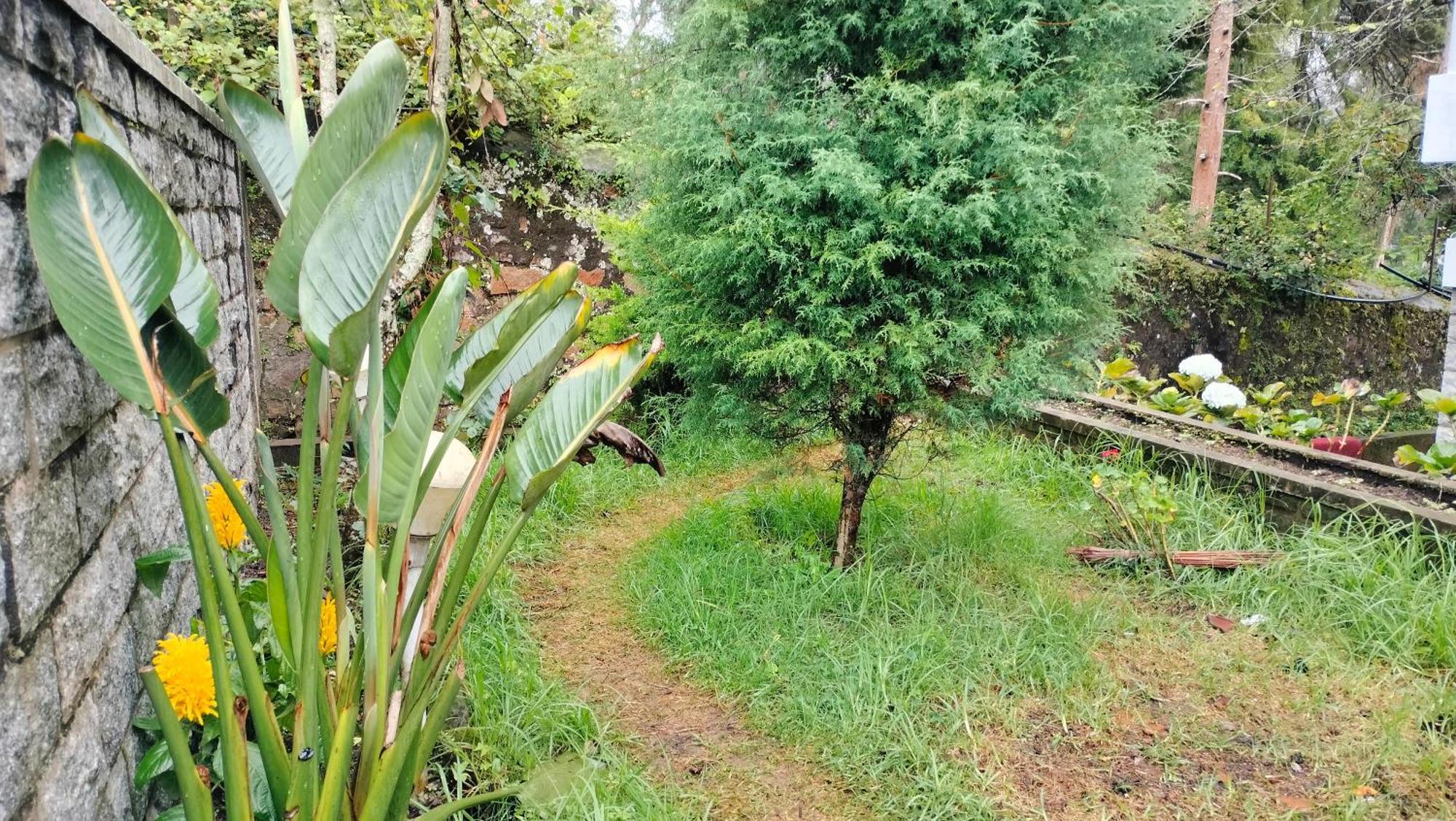 Kodai King Suite Kodaikanal Buitenkant foto
